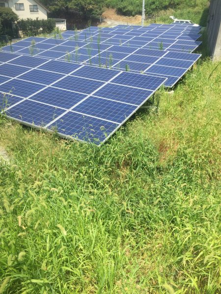 太陽光発電設備の除草作業